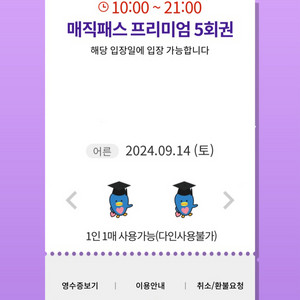 9월14일(토)롯데월드 매직패스 5회권