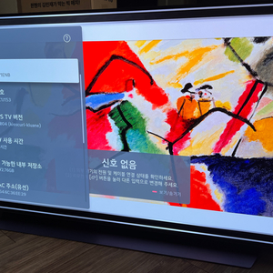 Lg oled 48인치 팔아요