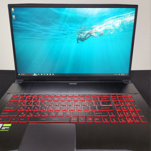 17인치 MSI GF75 THIN 10SCR 노트북