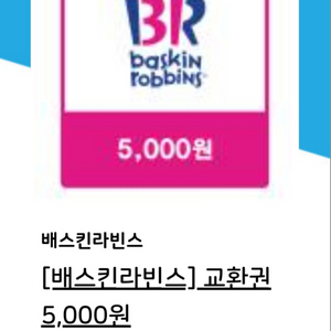 배스킨라빈스 5000