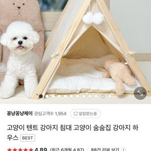 강아지 고양이 텐트 집 3개 있어요