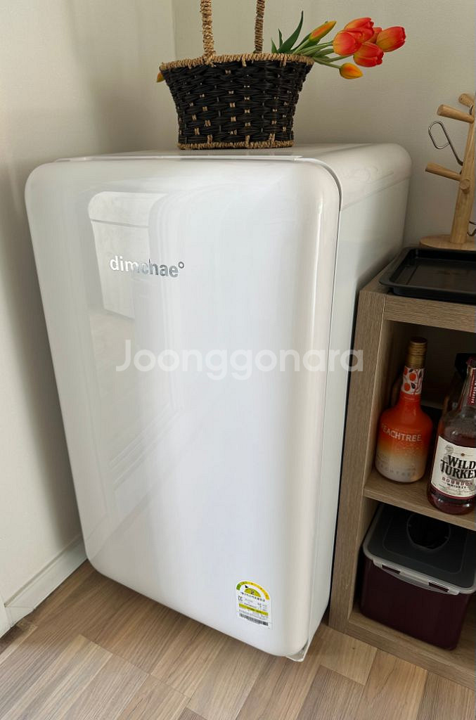딤채 김치냉장고 100L 쁘띠 화이트--1