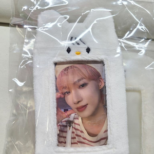 더보이즈 뉴 포카홀더 늉늉홀더 포토카드 홀더