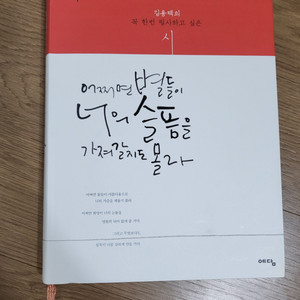 김용택 시집 (어쩌면 별들이 너의 슬픔을 가져갈지)