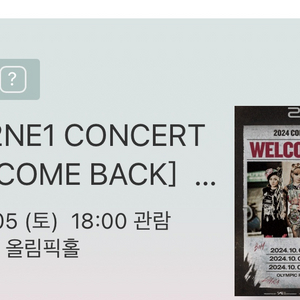 2ne1 10/5 콘서트 스탠딩 4xx번대 양도