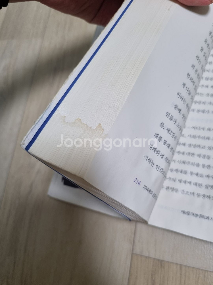 미네르바 인문 읽기와 쓰기--1