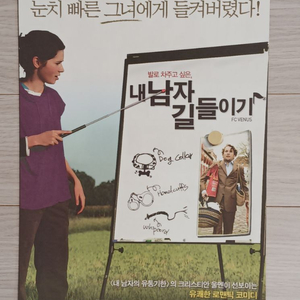 영화전단지 내남자길들이기 (2007년)