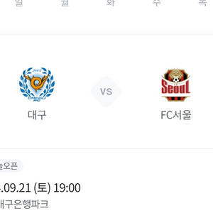 대구fc vs fc 서울