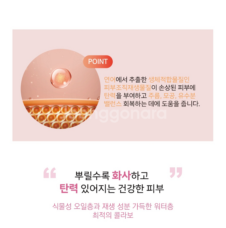 닥터시스 씨부스터. 브이라인.탄력.피부.탈모방지--2