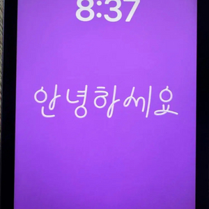 (배터리100)애플 아이패드 미니6 퍼플 64gb wi