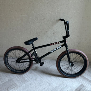 bmx 자전거