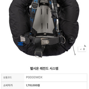 헬시온 레전드 더블 bcd 하이랜드백플 팝니자