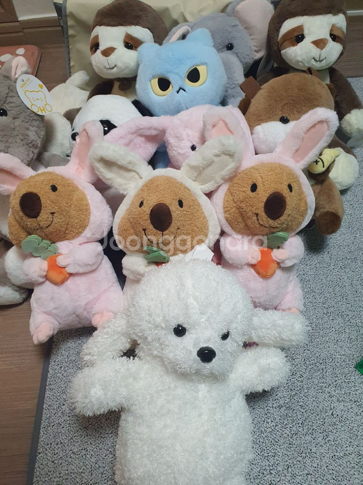 키링 +뽑기인형 팔아요~--1