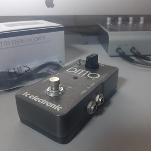 Ditto Stereo Looper 스테레오 루퍼