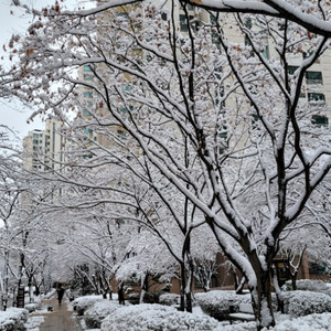 피망쿠폰 삽니다