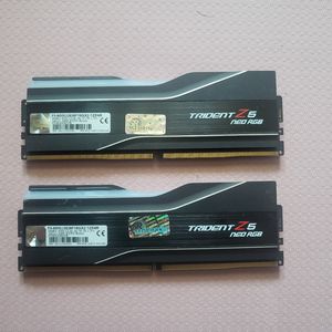 지스킬(Gskill) DDR5램 32기가팝니다