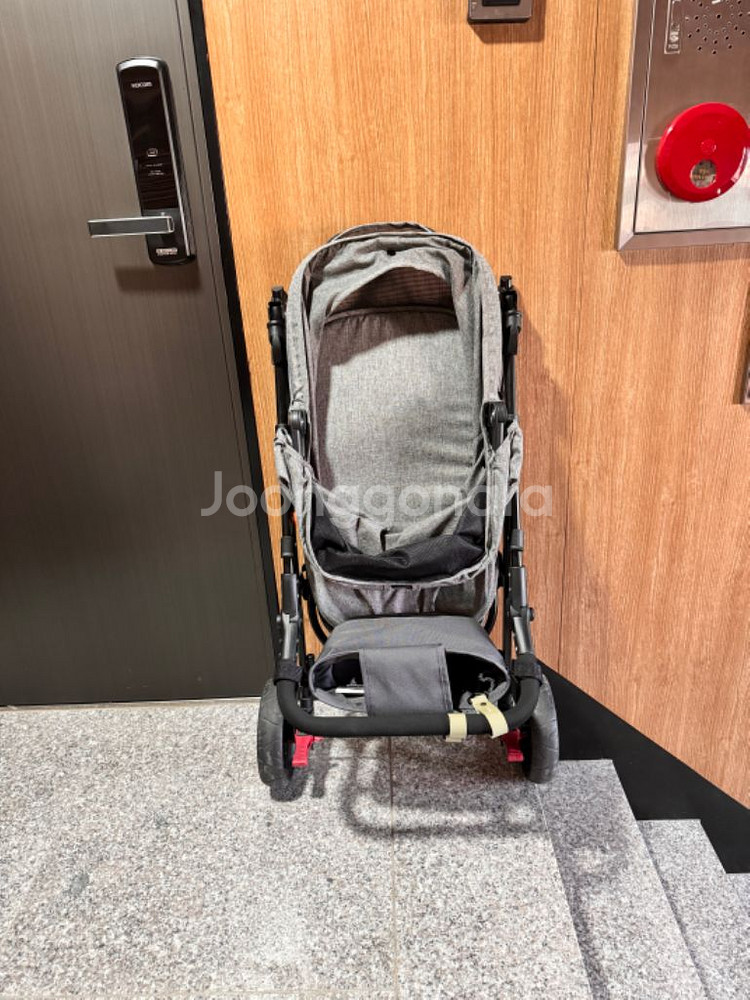 2024 크로노 펫모차--2