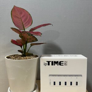 iptime usb 허브