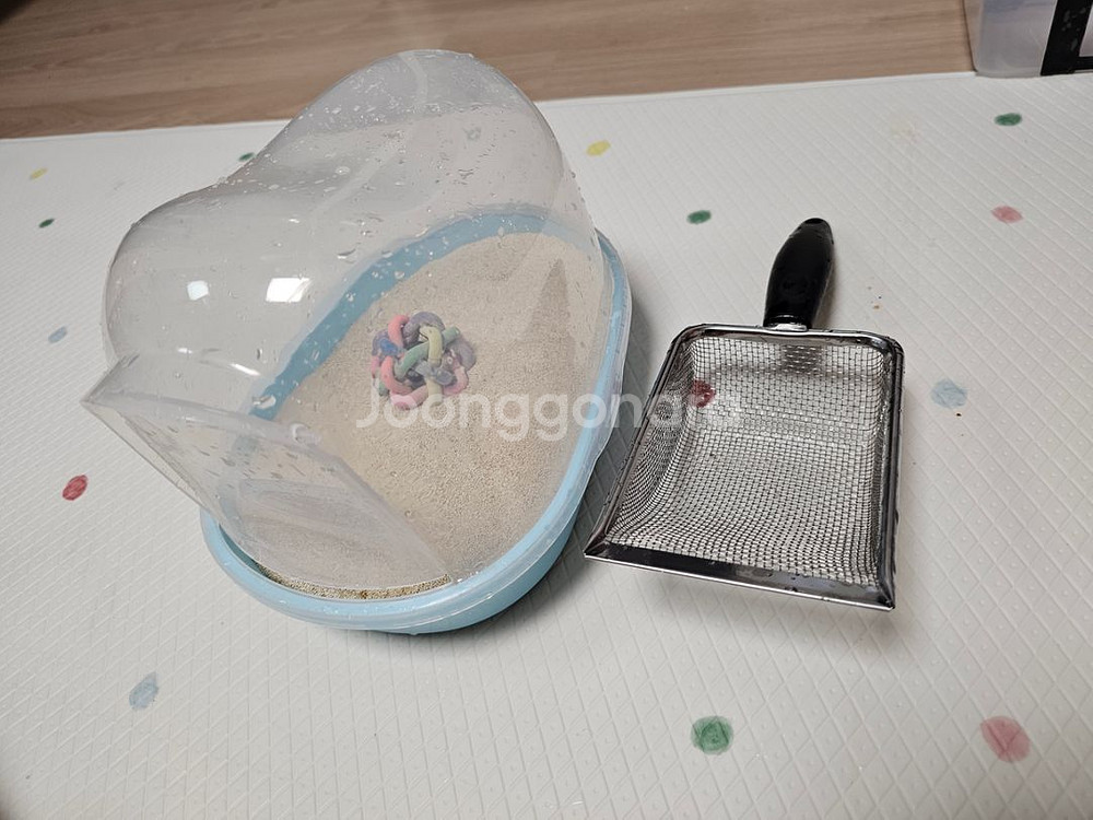 고슴도치 햄스터 모래놀이터 화장실--4