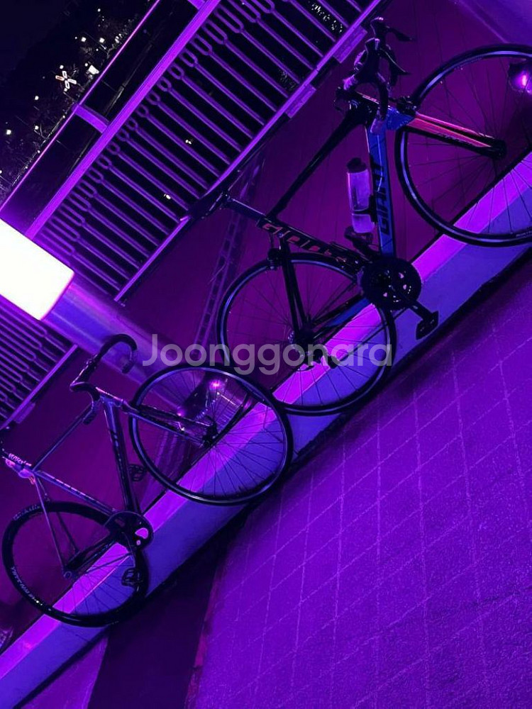 엔진11볼텍스 23년식판매대차 대전직거 추금5있--2