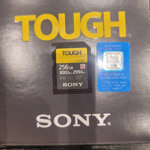 소니 TOUGH 256GB v90