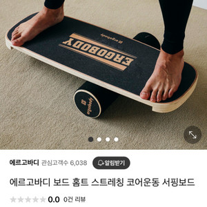 에르고바디 밸런스서핑보드