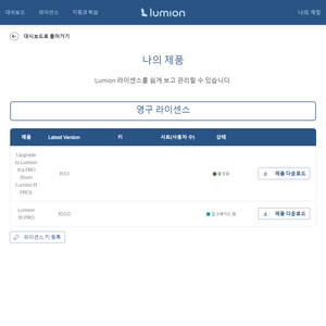 lumion 루미온 11.5 영구라이센스 [상업용]