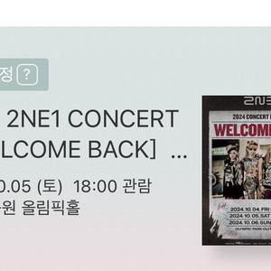 2ne1 10/5 스탠딩 4xx양도