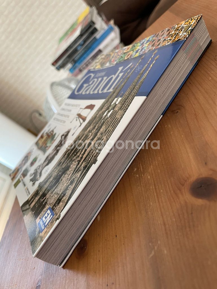 Antoni Gaudi : VISUAL GUIDE--3