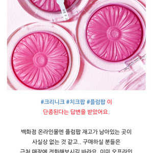 (새제품/단종/희귀) 크리니크 플럼팝 #겨쿨베스트