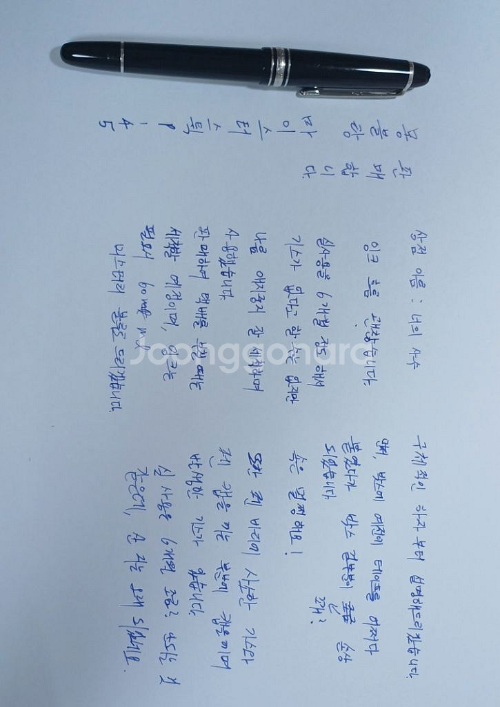 몽블랑 만년필 p145 쇼팽에디션 가격제안 가능해요--2