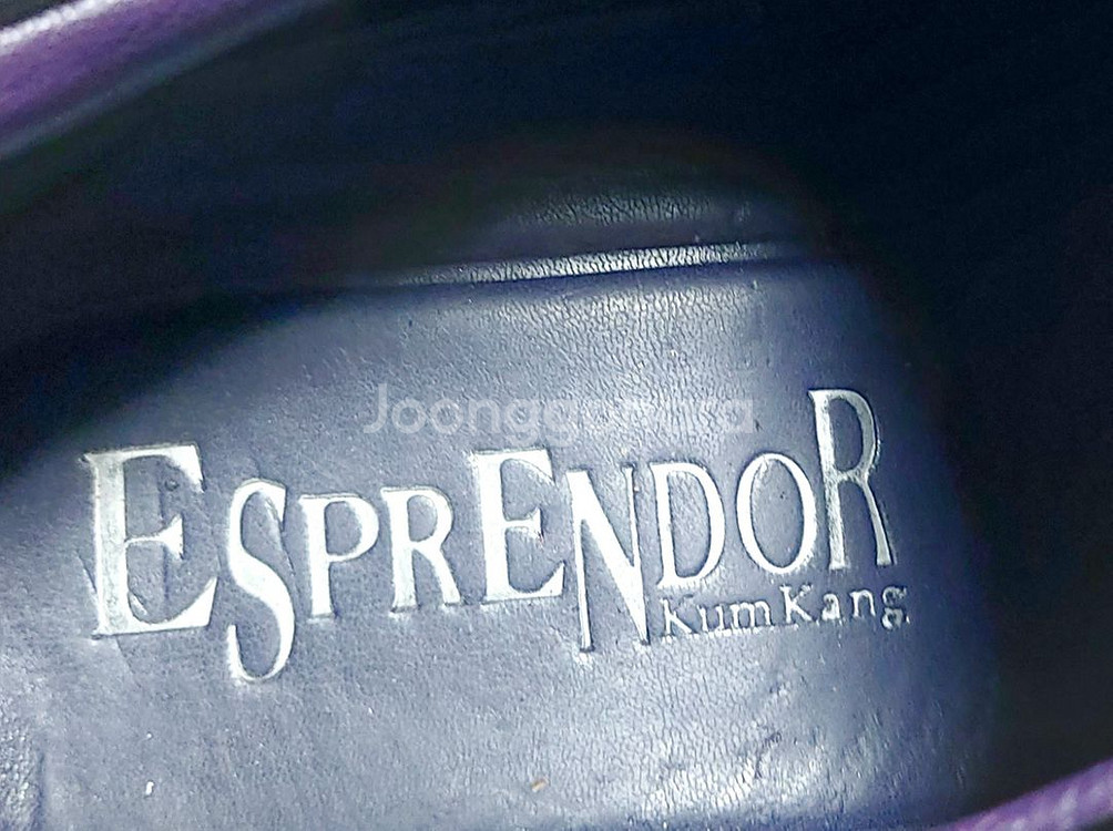 금강ESPRENDOR 남성구두250 정장구두/--3