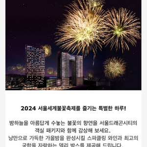 여의도 불꽃축제 이비스 스타일 To Go 패키지