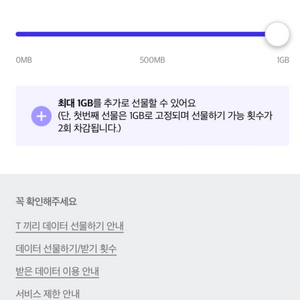 데이터 1기가