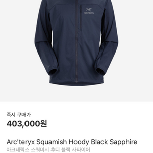 Arcteryx 스쿼미시 Black