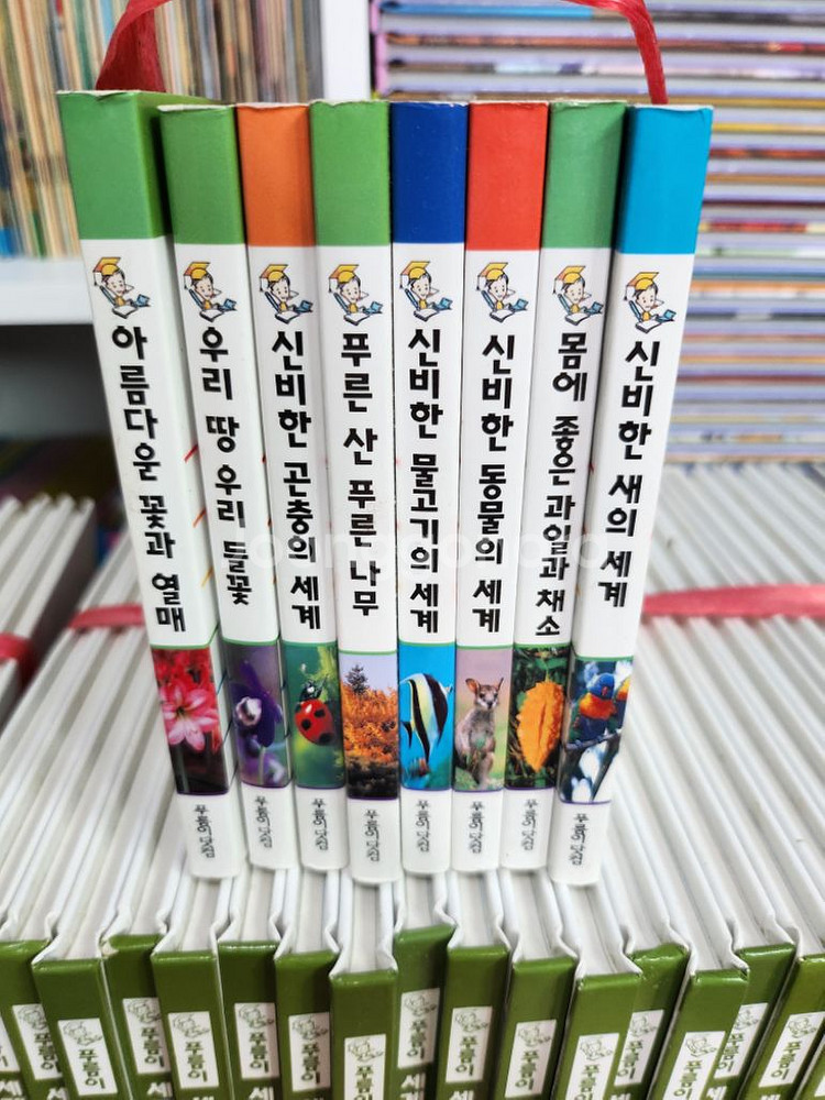 푸름이 세계자연과학 백과 전집--4