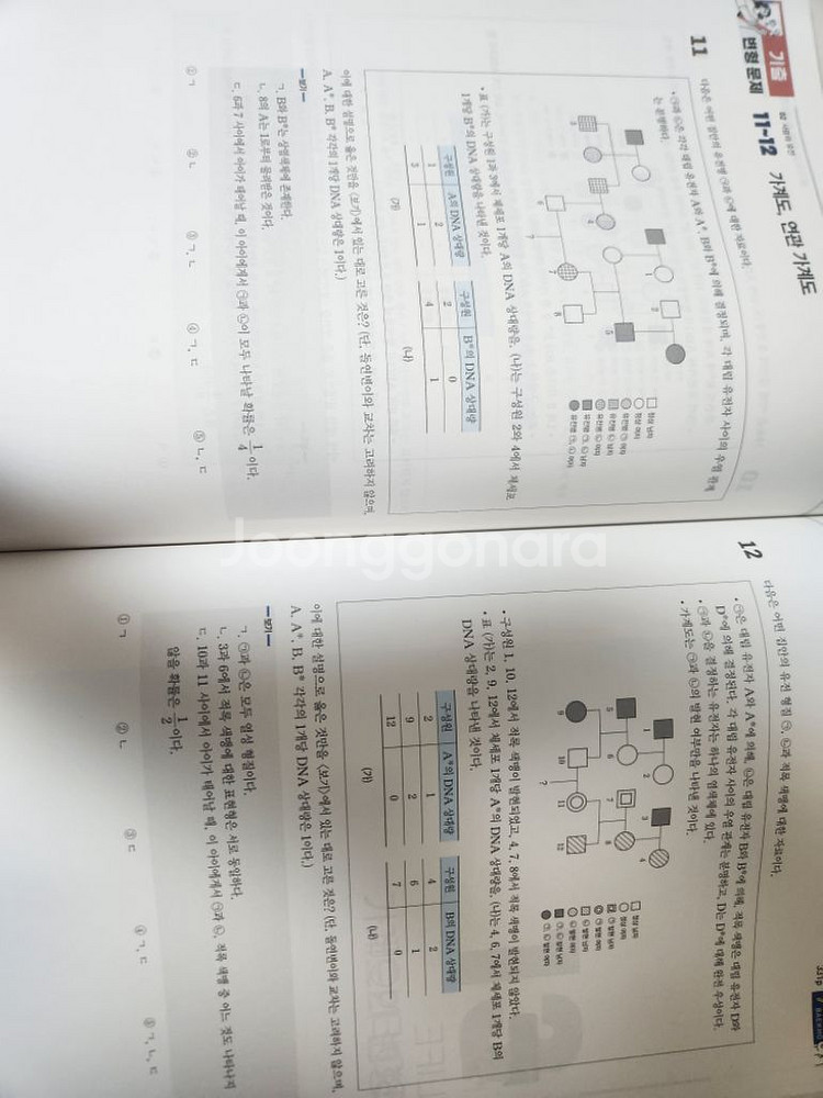 (택포) 백호 상크스 2024--2