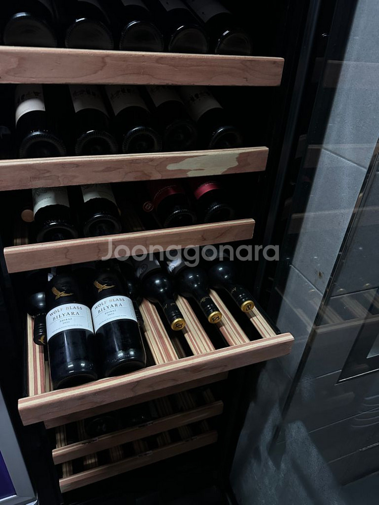 빈디스 와인셀러 200본--2