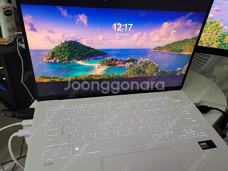 LG 엘지 그램 14인치(2024버전) 게이밍 노트북 ...--1