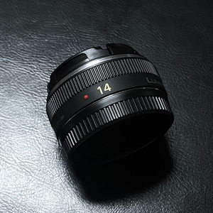 파나소닉 14mm f2.5 블랙