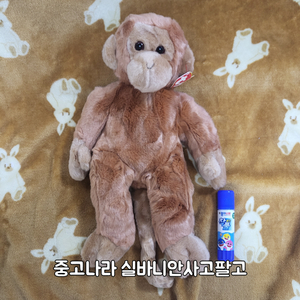 ty인형 ty원숭이인형 ty버디