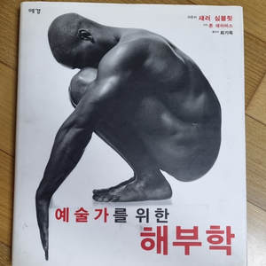 예술가를 위한 해부학