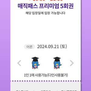 9.21 토요일 롯데월드 매직패스 5회권