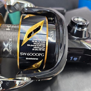 스텔라sw6000pg