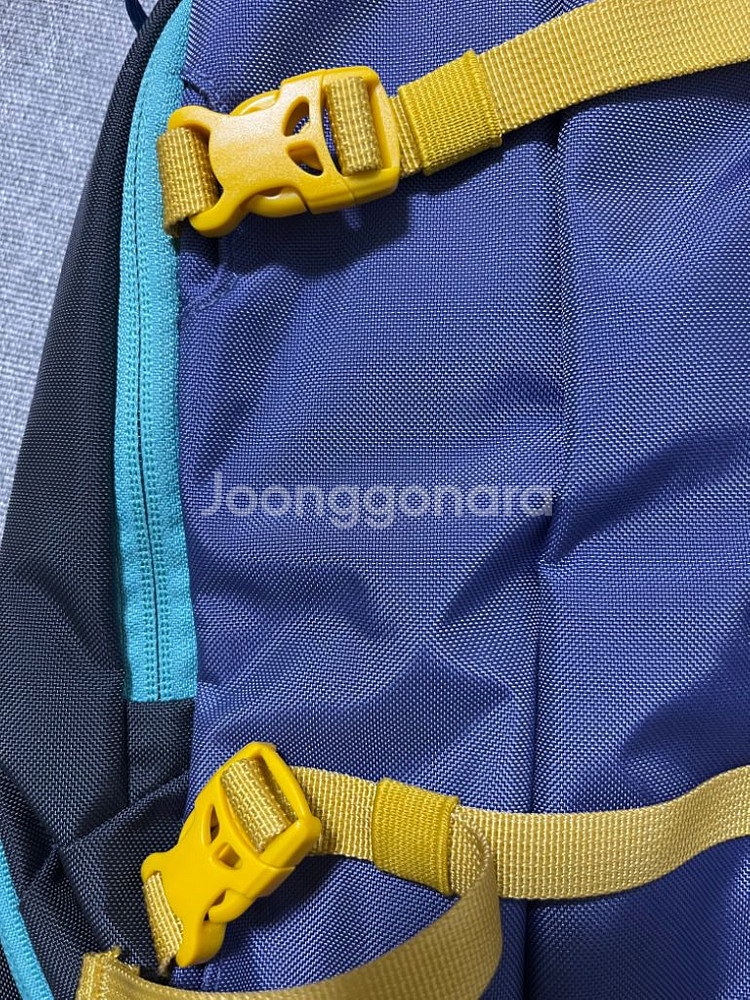 파타고니아 아톰슬링 8L--4