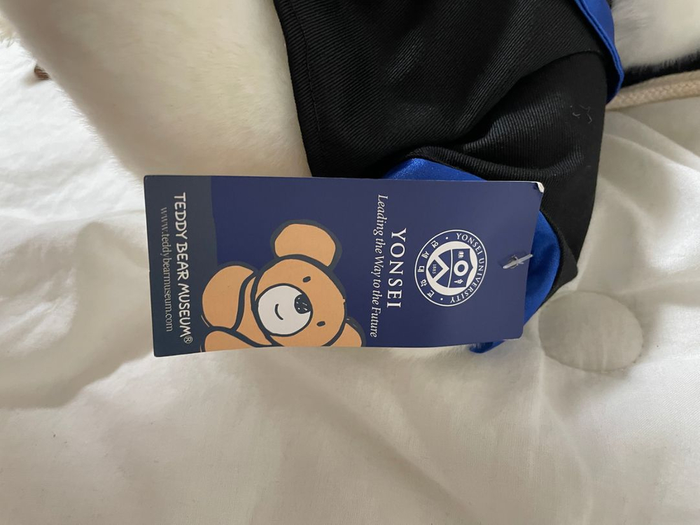 가격내림)연곰이/연세대 곰/연세대 곰인형 이미지