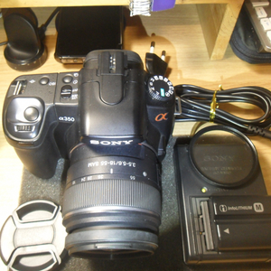 빠른 라이브뷰 소니 알파 SONY DSLR-A350,