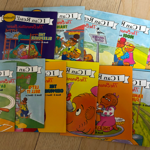 The berenstain bears phonics