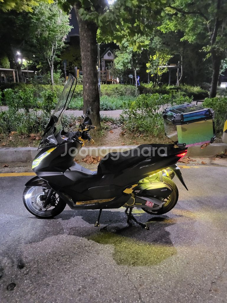 pcx125--1