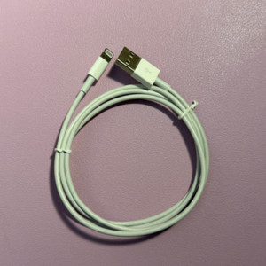 Apple 라이트닝 USB 케이블 1M (중고)